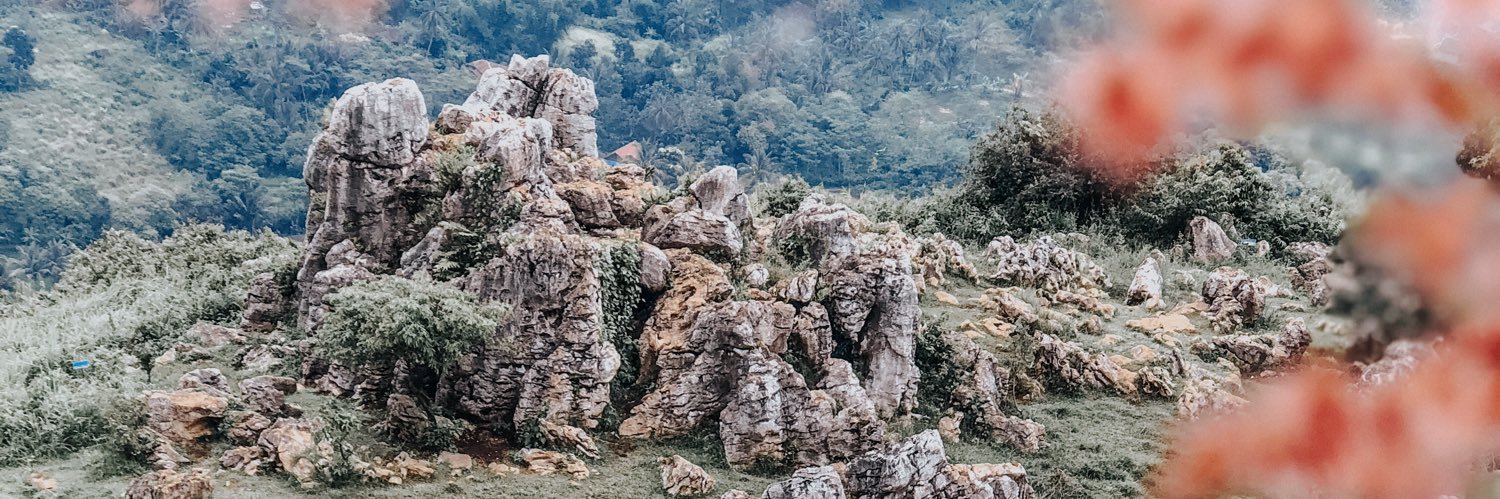 MaliaSinaga's profile banner image