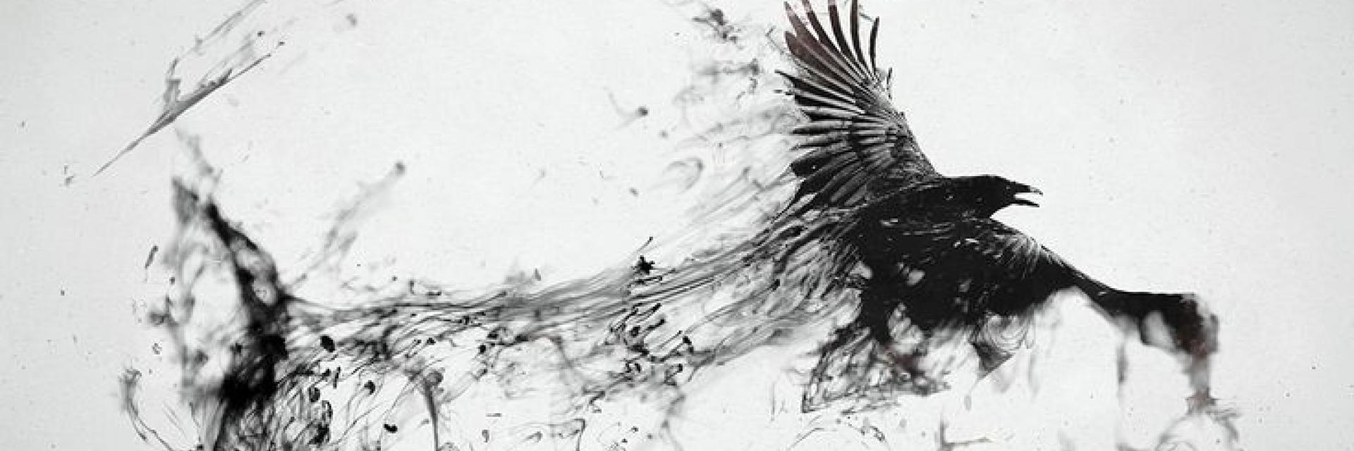 RantingCrow's profile banner image