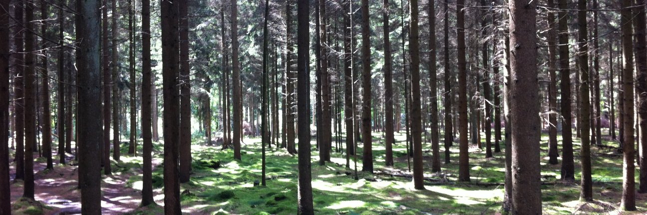 seekrr…of most interesting facts 🙏🍀aska Wim🇳🇱 banner