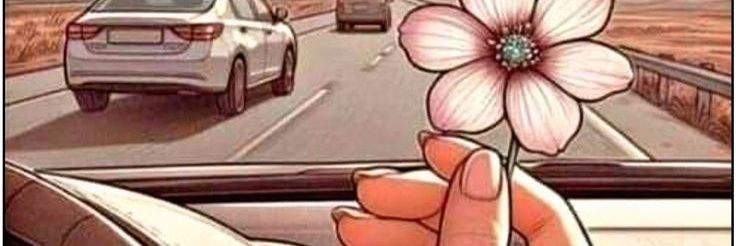 Lisss ✌️🍬🐦 banner