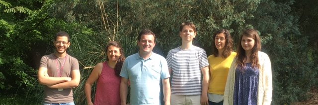 Raphaël Labruère banner