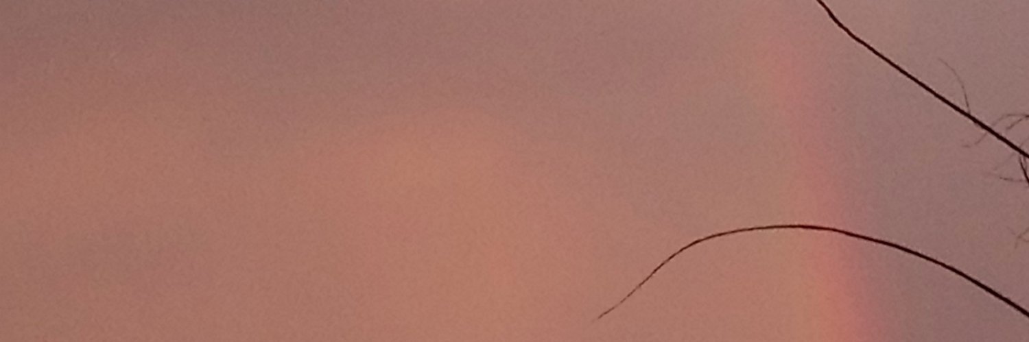 dragonnixdz's profile banner image