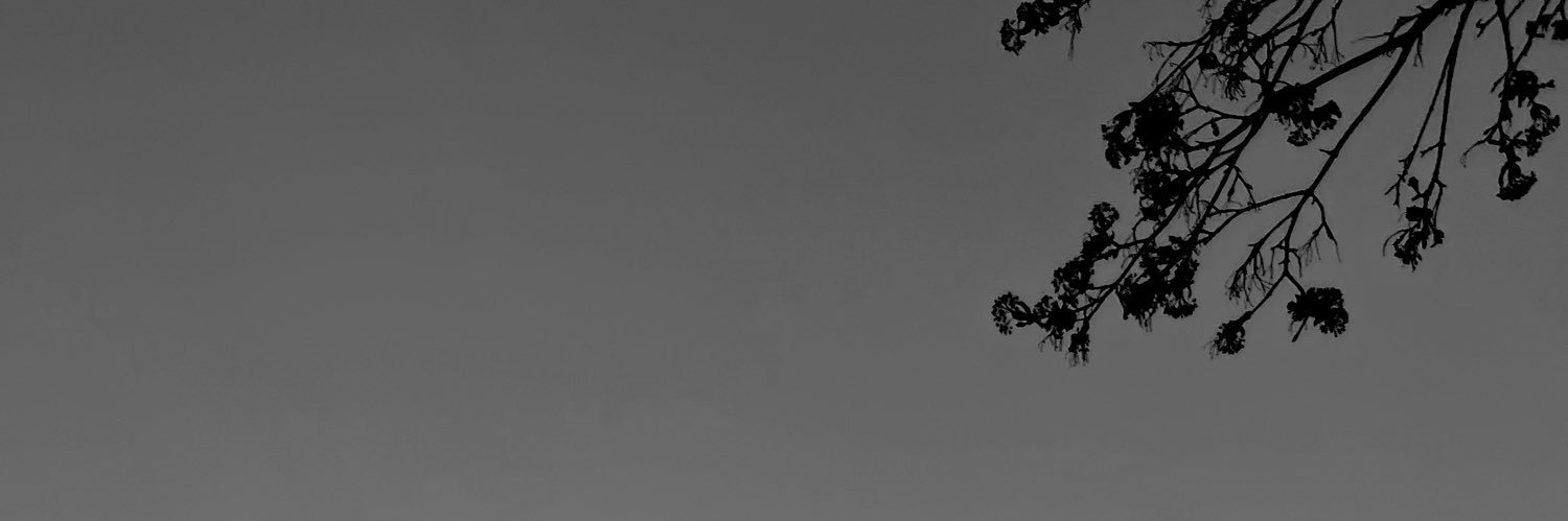 ahmadassem's profile banner image
