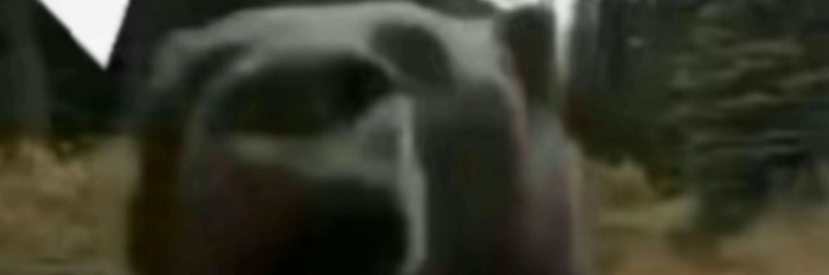K banner
