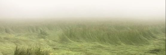 lildebbi_'s profile banner image