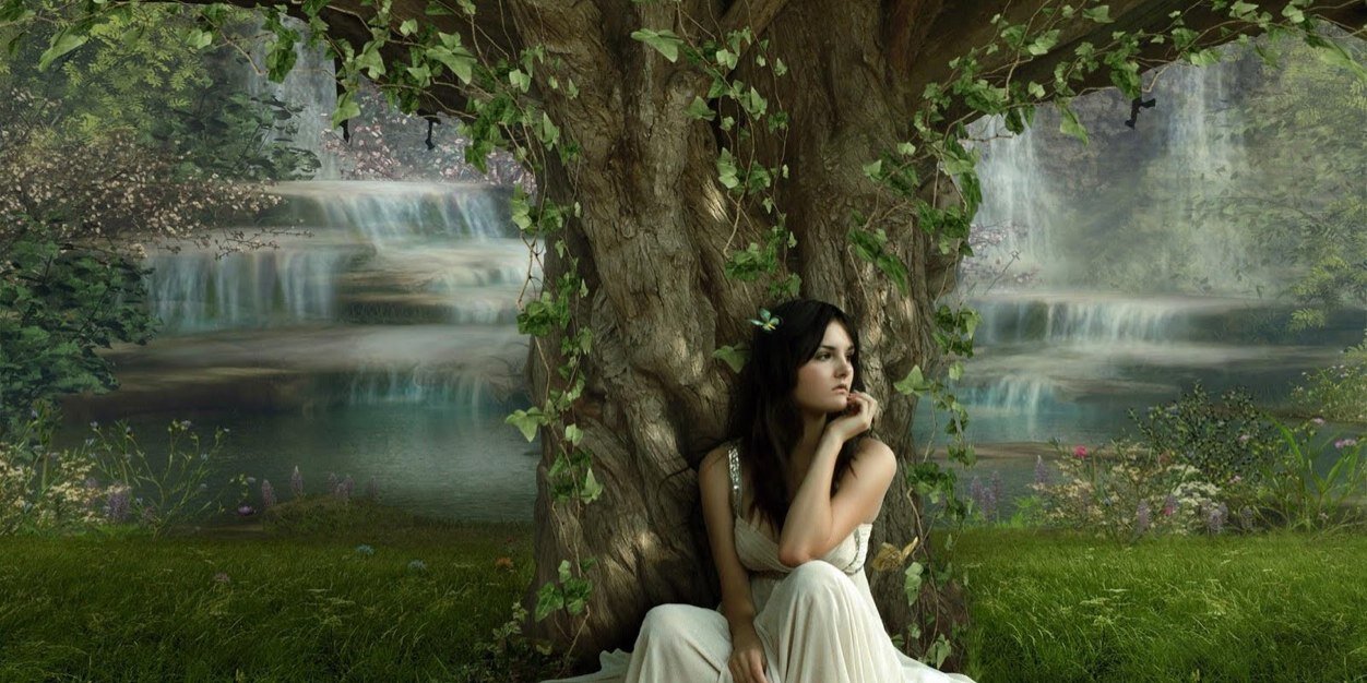 andeebird's profile banner image