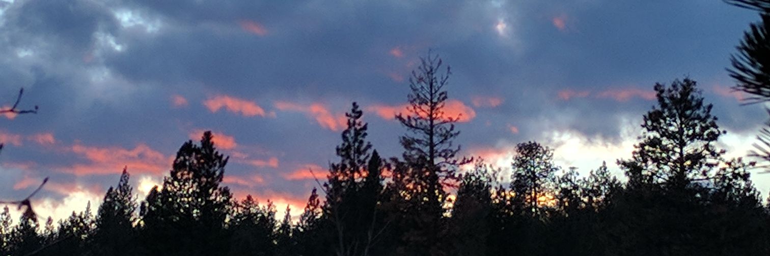 thegrantplant's profile banner image
