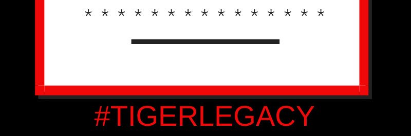 SandySteggall's profile banner image