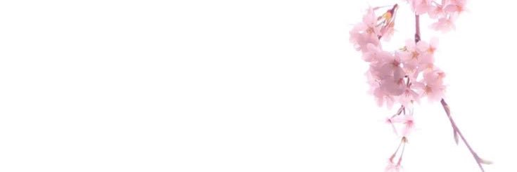 بتول banner