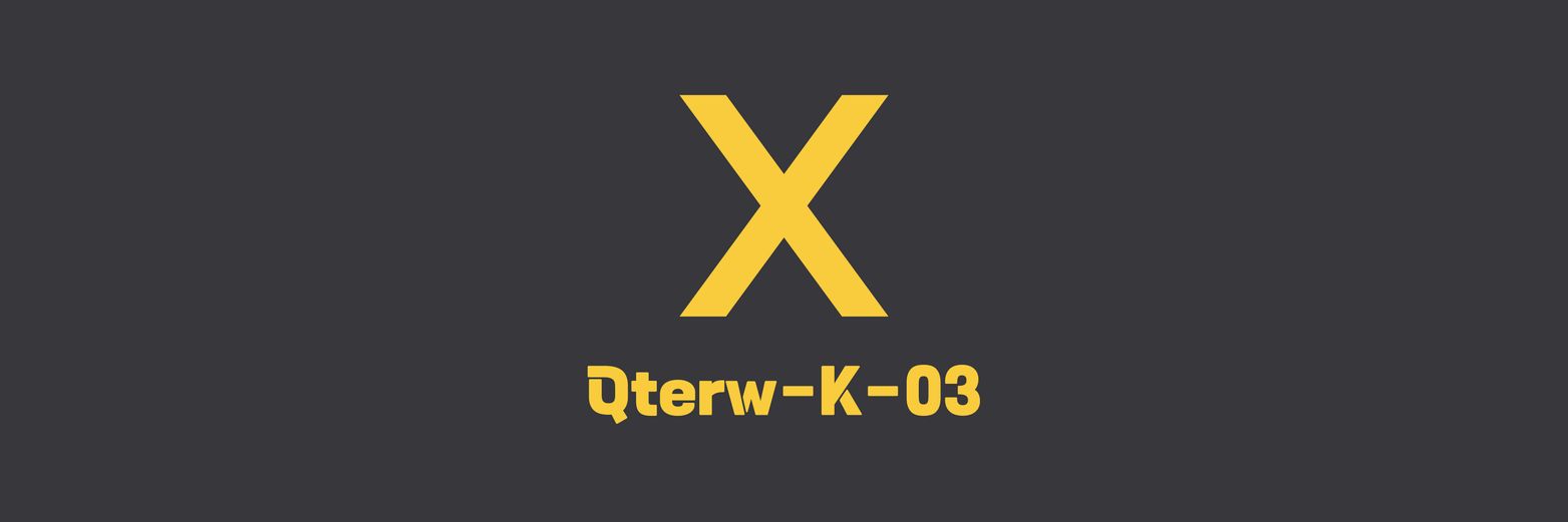 qterwk03's profile banner image