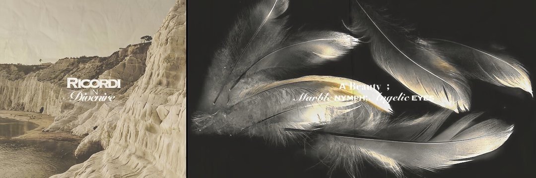 rooseaine's profile banner image