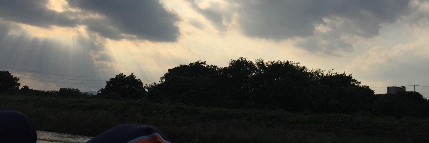 藤井重綺/SHIGEKI FUJII banner