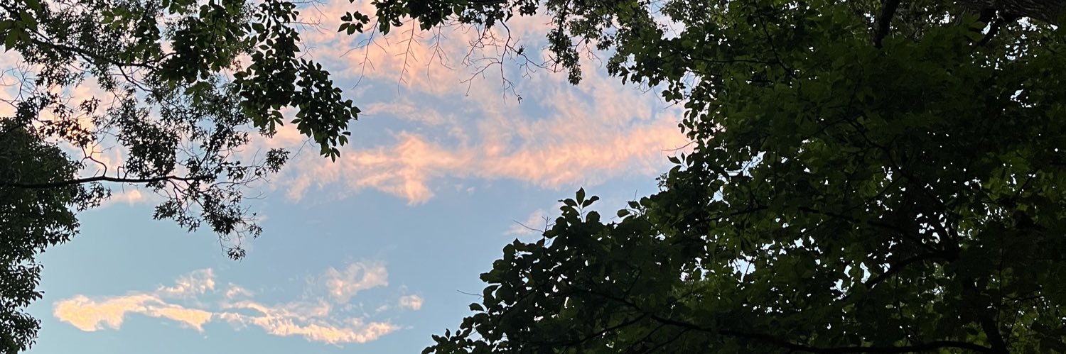 lakescene's profile banner image