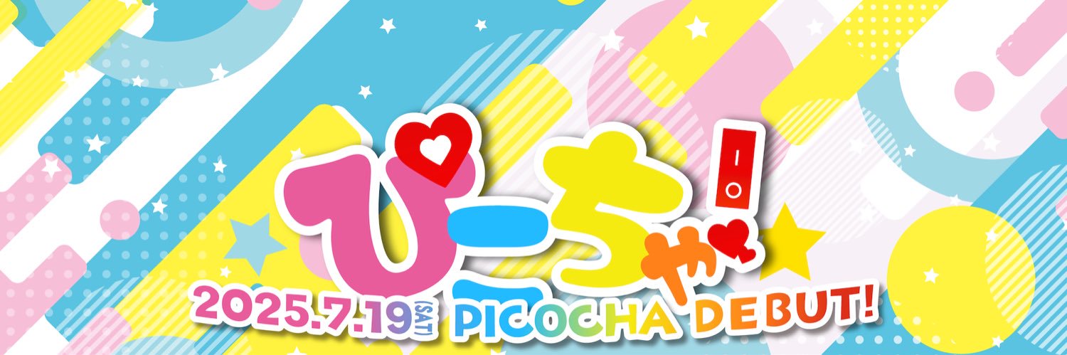 picocha2025's profile banner image