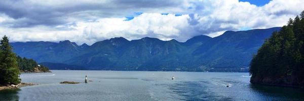 Zifkin Profile Banner