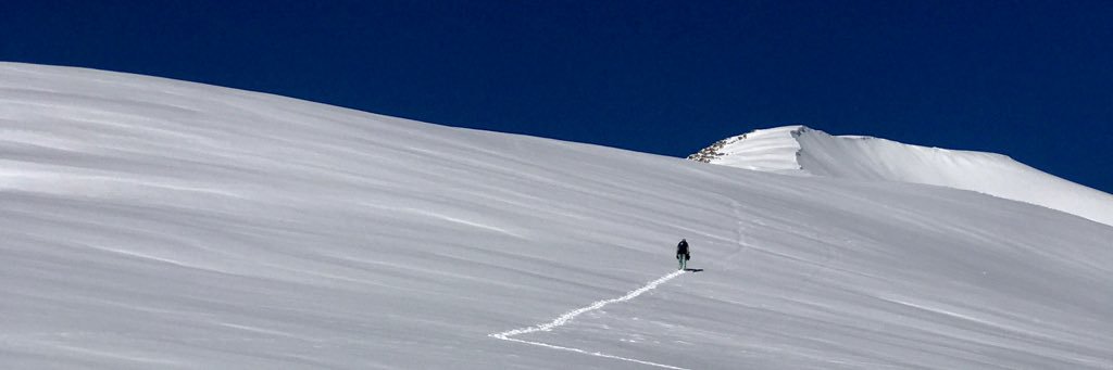 Petr Korolev 🦇🔊 banner