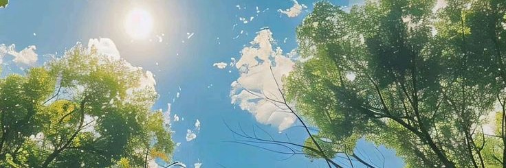 Lucid✨ banner