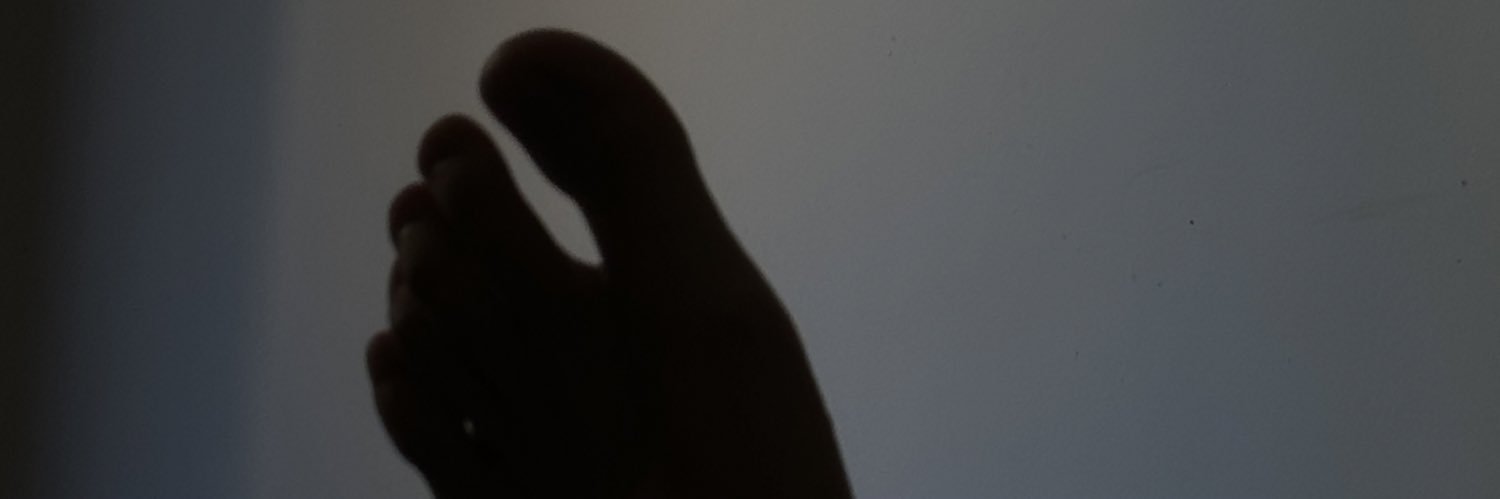 蛋挞 banner