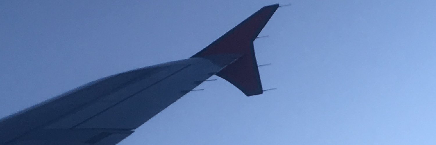 miss remzy pie banner