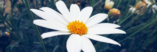 Anacab98's profile banner image