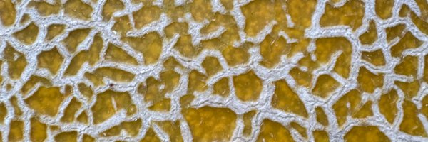 pless_pray Profile Banner