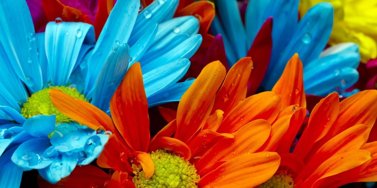 Mayte 🇪🇸🇪🇸 banner