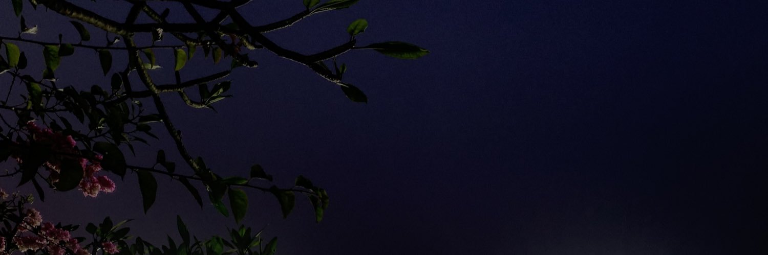 devkisingh_'s profile banner image