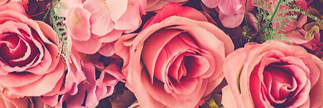 hazelclarke's profile banner image