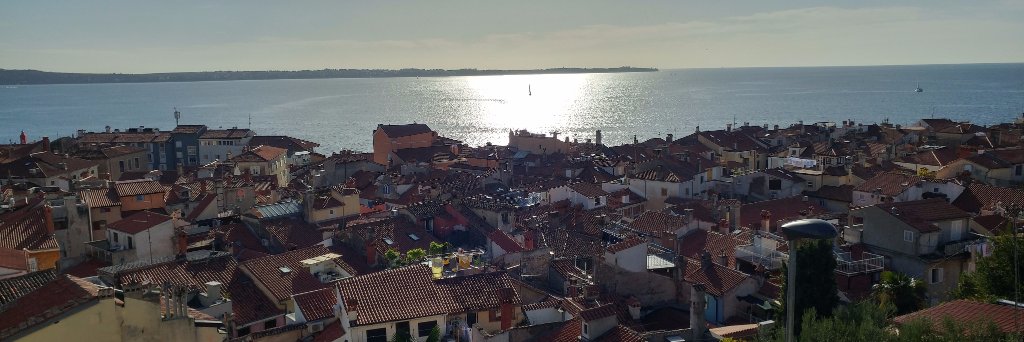 Chris DiLapi (Big Twelve Conference Supporter) banner