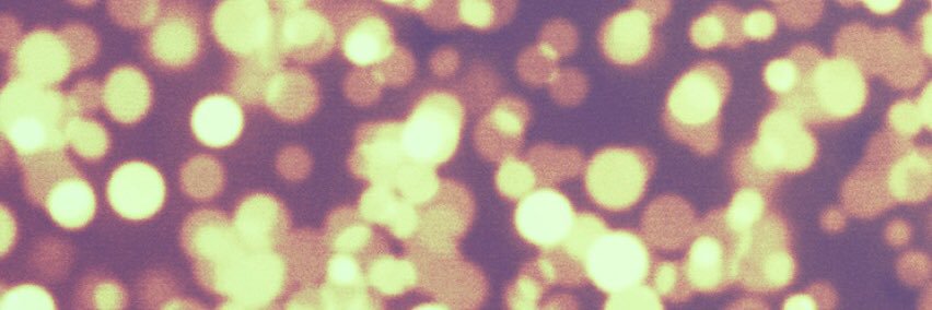 leeannwindemut1's profile banner image