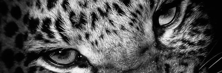 muertaenvidaa__'s profile banner image