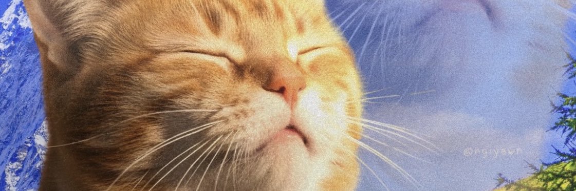 CheffceddNYC's profile banner image