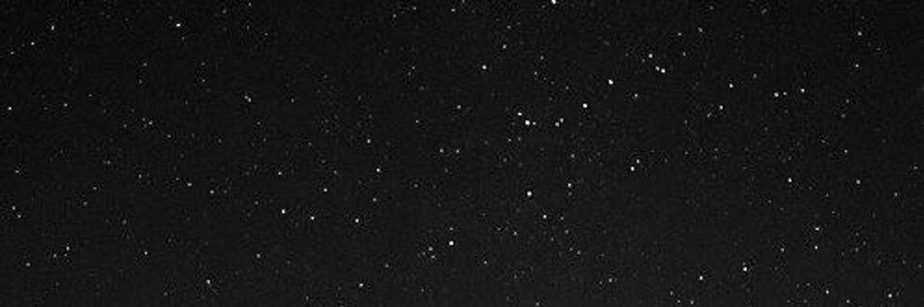 Rimas banner