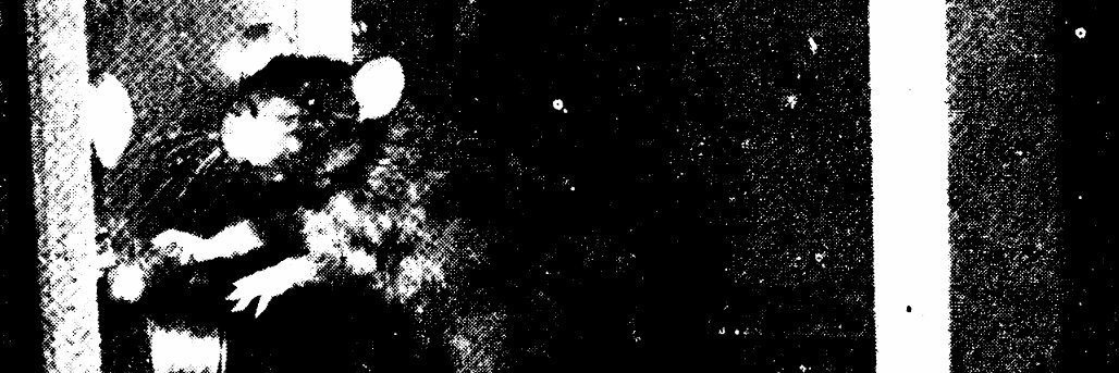 ᵏᵃᵘᵃⁿ banner