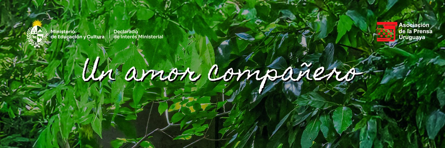 unamorcompanero's banner