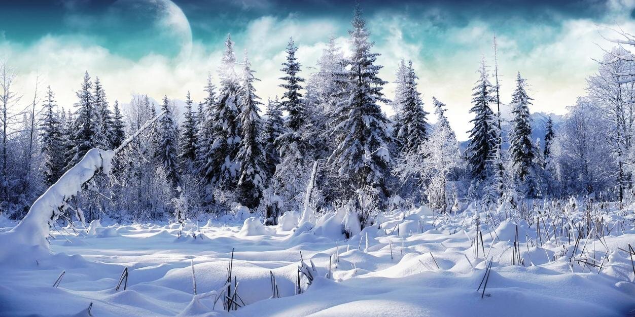 mysteryquest's profile banner image