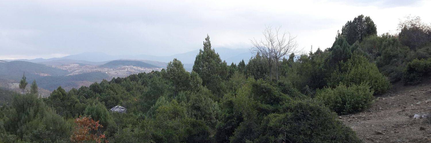 hsutay's profile banner image