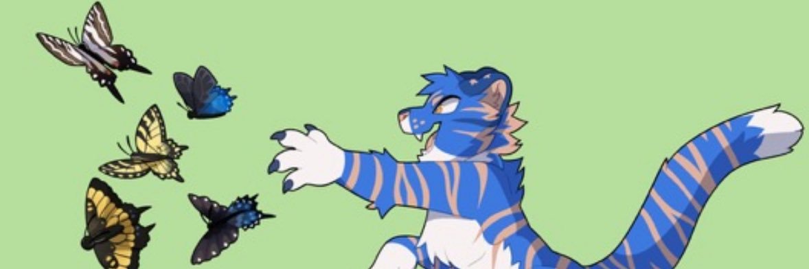 Teo 🦋 🔜 TFF banner