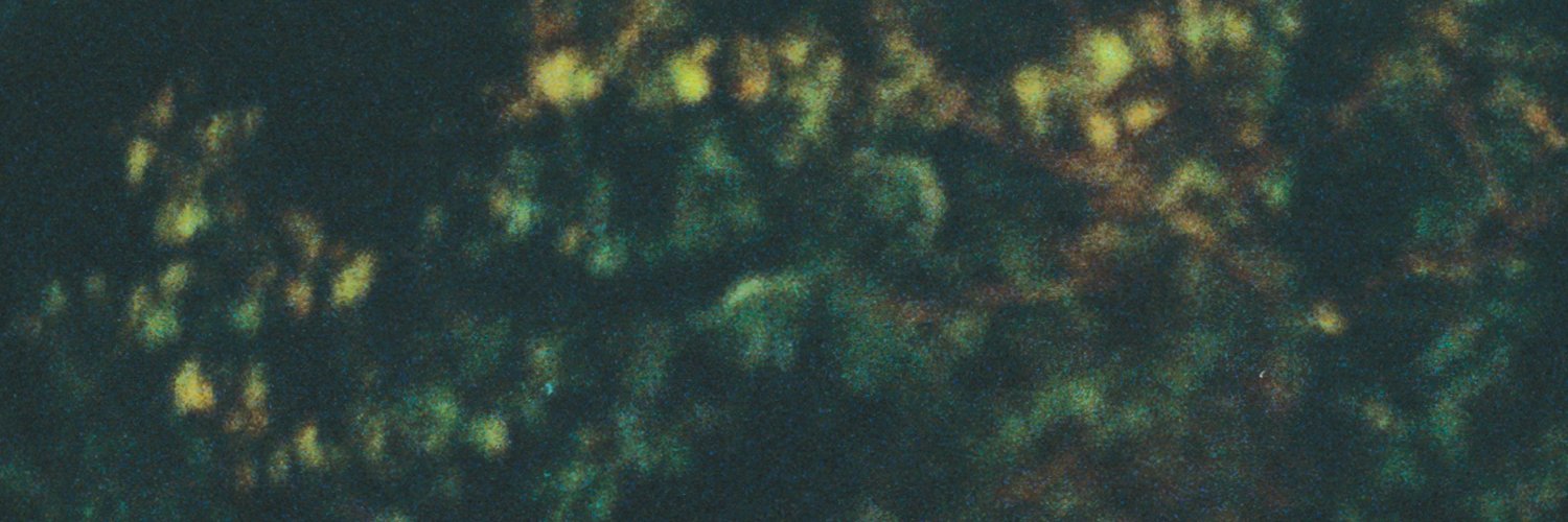 WIMS (heres the void everyone in) banner