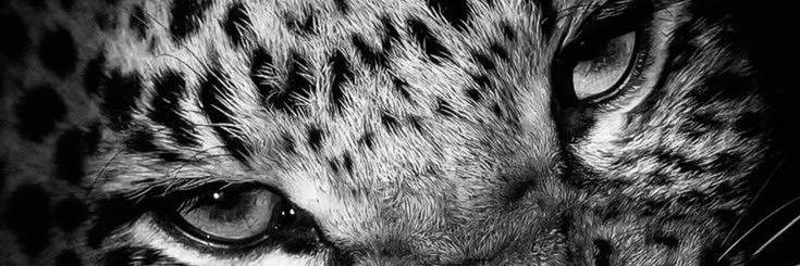 hizerdaa75's profile banner image