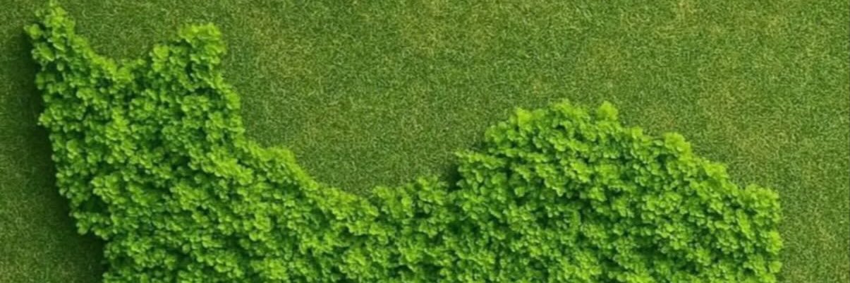 BitNegar's profile banner image
