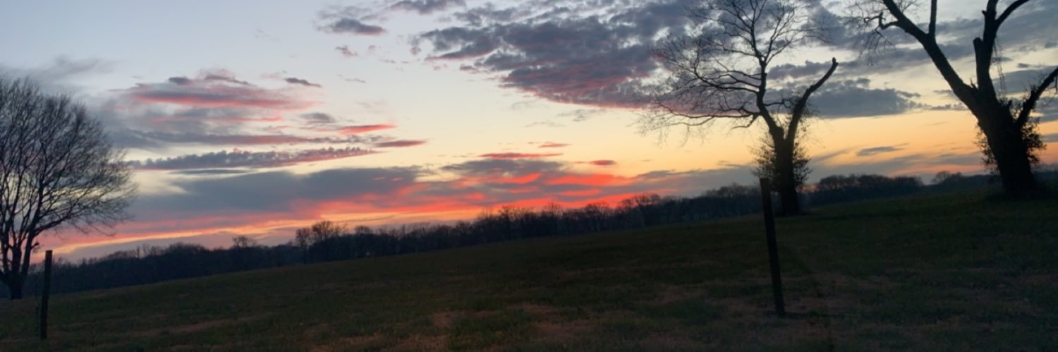dacieb98's profile banner image