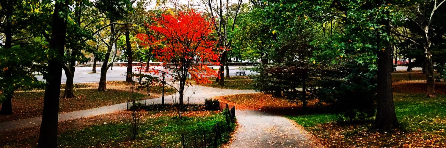 Nathan Fuller banner