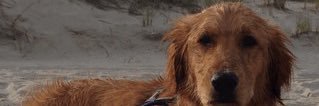 Frannieannie23's profile banner image