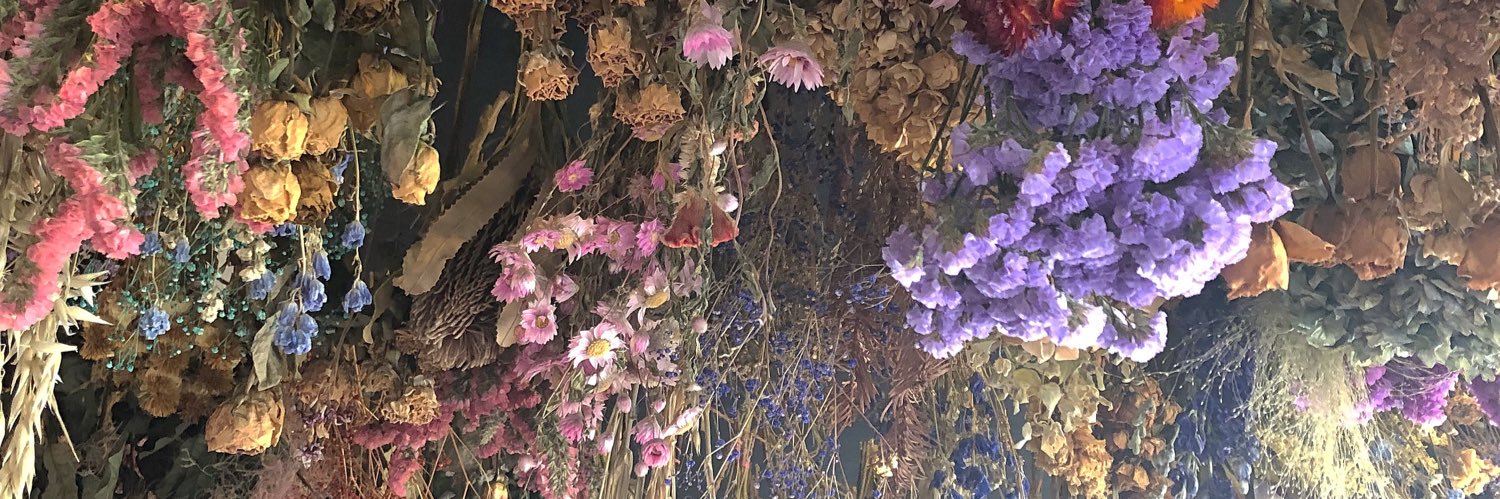 OvoMiku's profile banner image