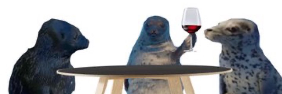 so sealy's banner