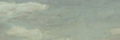 cia banner