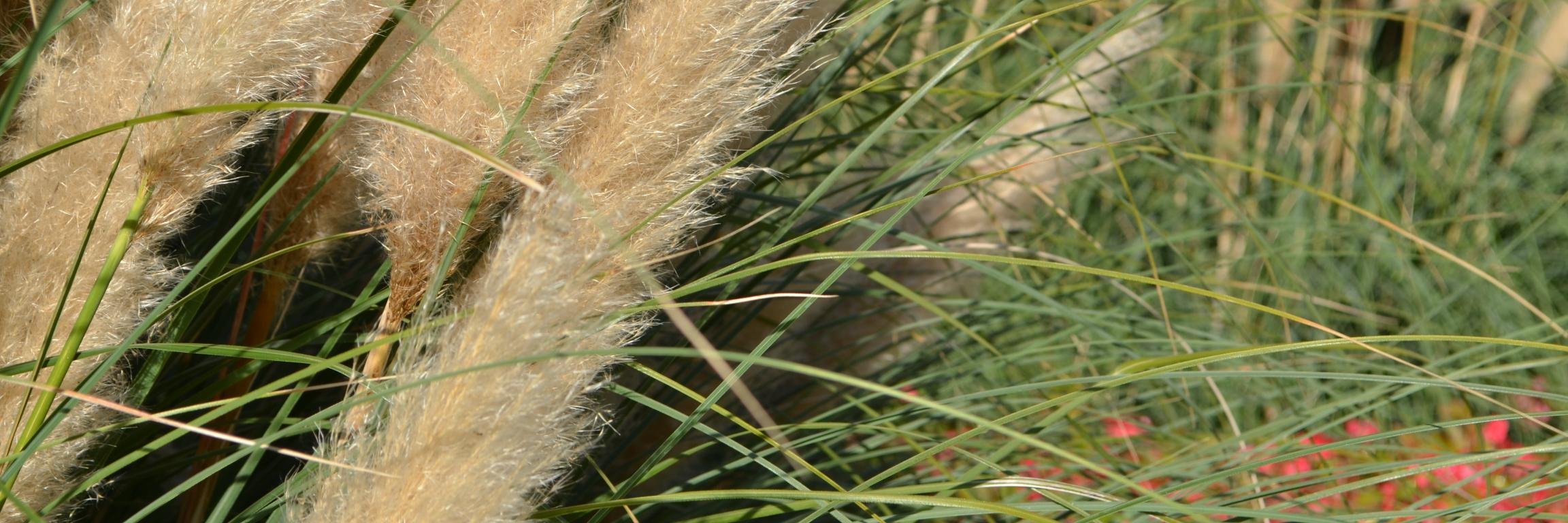 nvisionsunshine's profile banner image