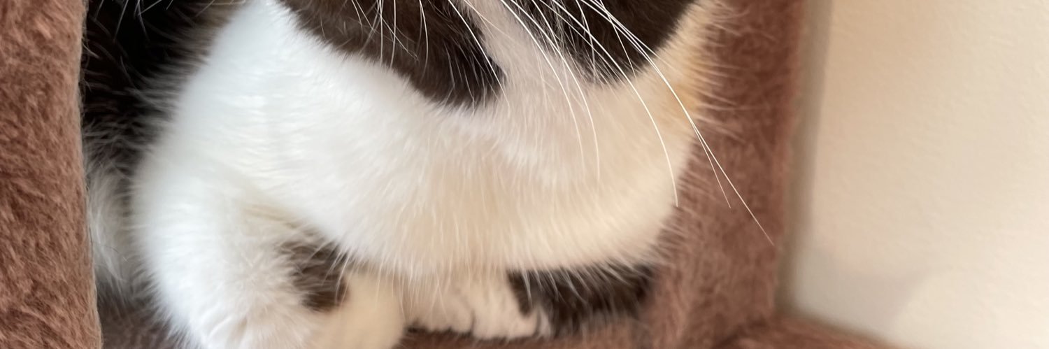m__n33's profile banner image