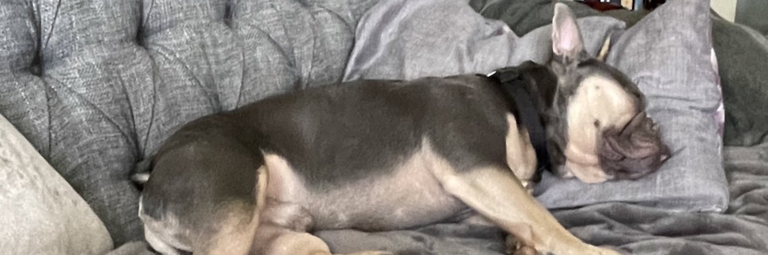 shellylouh's profile banner image